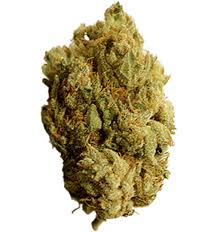 Buy Bud Online